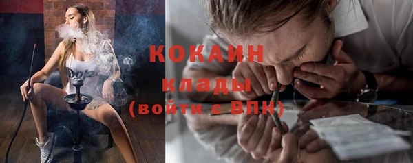 шишки Алексин