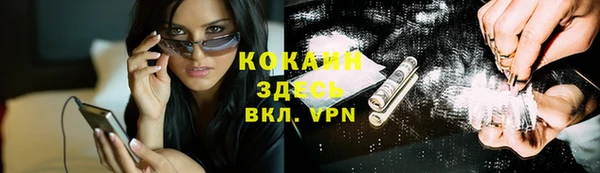 шишки Алексин