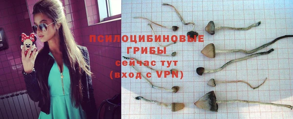 каннабис Алзамай