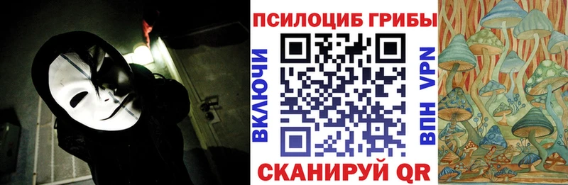 наркошоп  Мураши  это наркотические препараты  Псилоцибиновые грибы мухоморы 